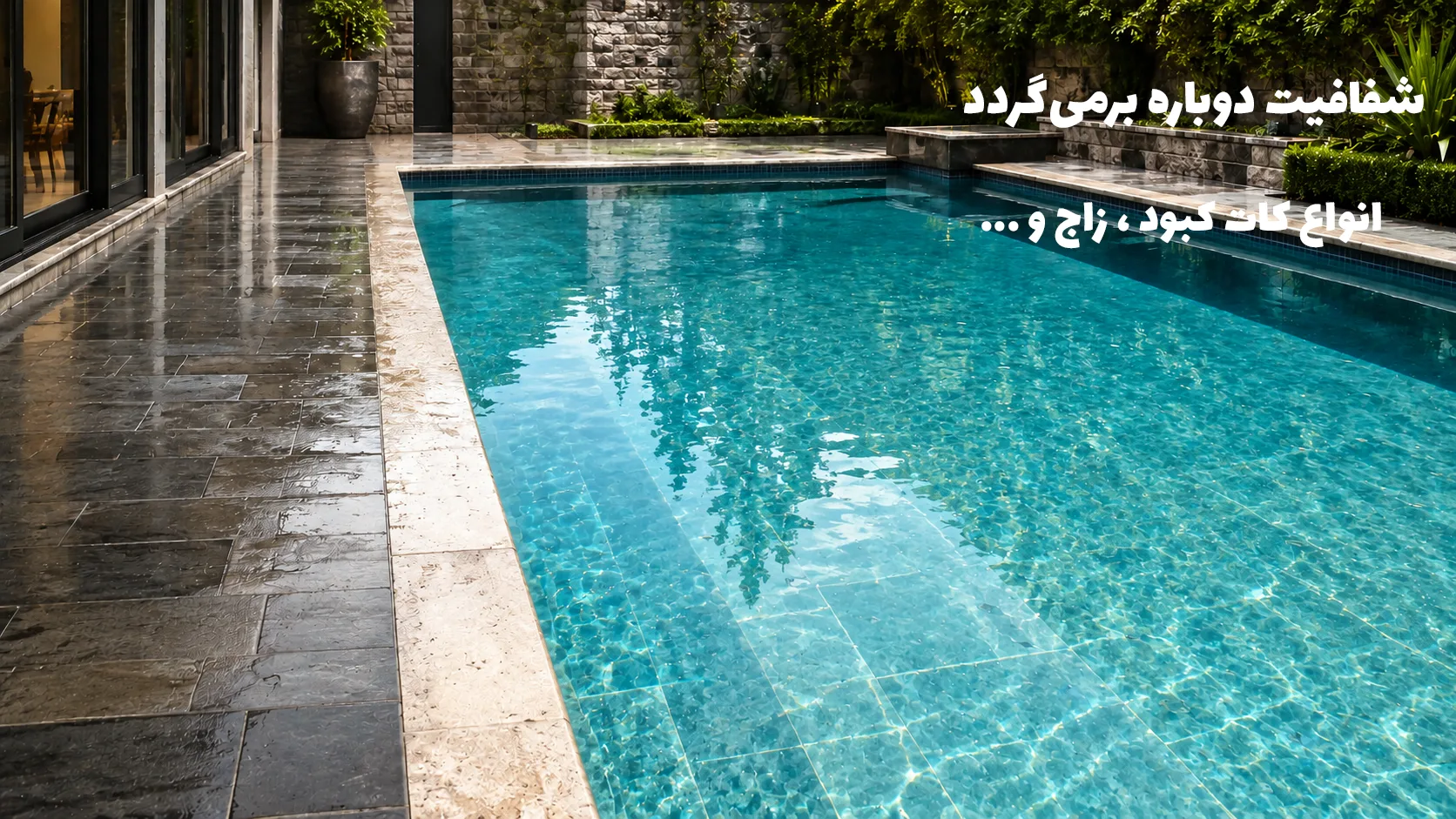 بنر گیاه قبل از رشد
