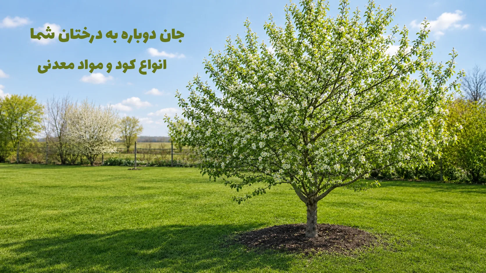 بنر گیاه قبل از رشد