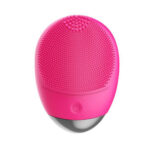 برس پاک سازی مدل L1917